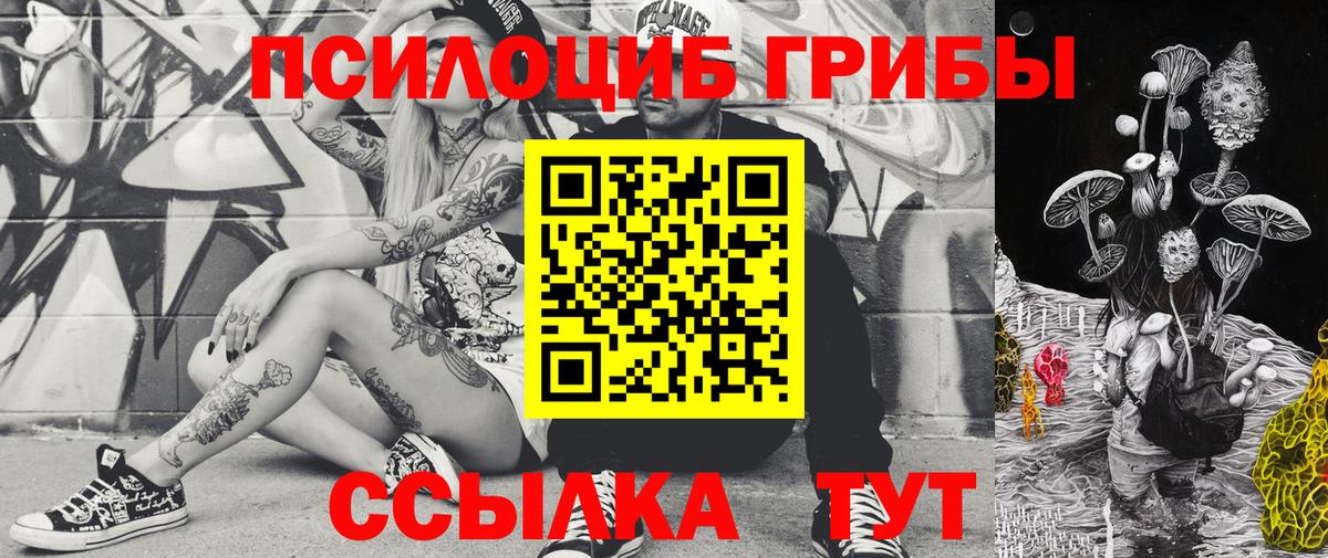 Псилоцибиновые грибы GOLDEN TEACHER  Вход с VPN  Чебоксары  Галлюциногенные грибы Magic Shrooms 